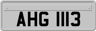 AHG1113