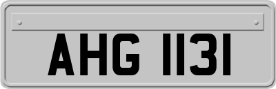 AHG1131