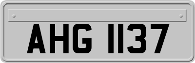 AHG1137