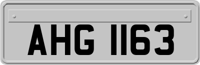 AHG1163