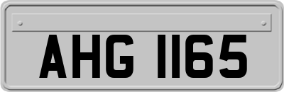 AHG1165