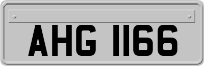 AHG1166