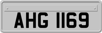 AHG1169