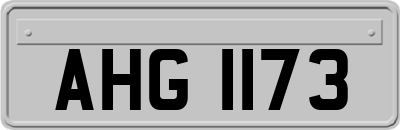 AHG1173