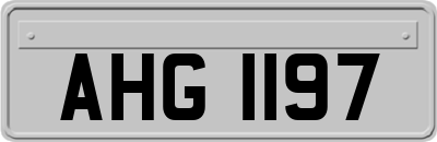 AHG1197