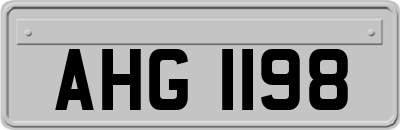 AHG1198