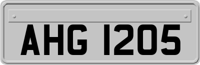 AHG1205