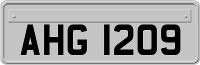 AHG1209