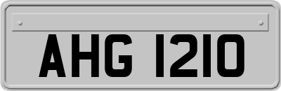 AHG1210