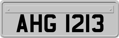 AHG1213