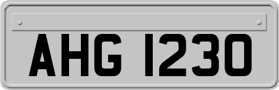 AHG1230