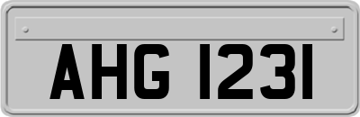AHG1231