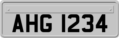 AHG1234