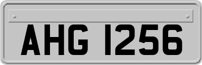 AHG1256