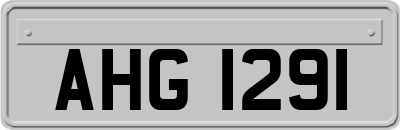 AHG1291