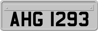 AHG1293