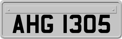 AHG1305