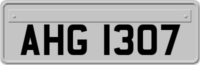 AHG1307