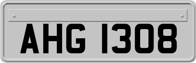 AHG1308