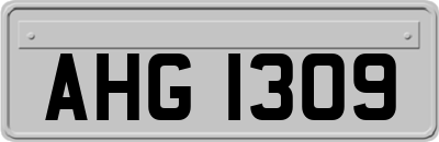 AHG1309