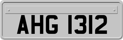 AHG1312