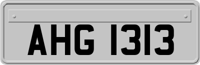 AHG1313