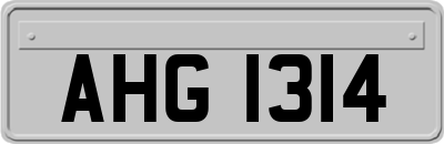 AHG1314