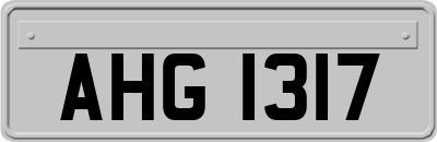 AHG1317
