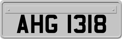 AHG1318