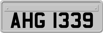 AHG1339
