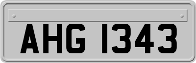 AHG1343