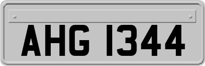 AHG1344