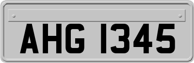 AHG1345