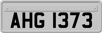 AHG1373