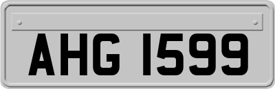 AHG1599