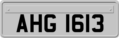 AHG1613