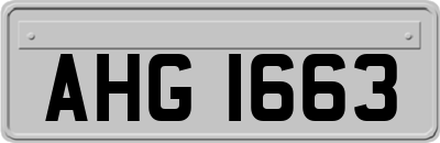 AHG1663