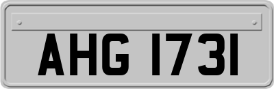AHG1731