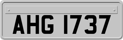 AHG1737
