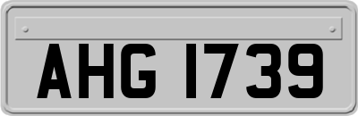AHG1739