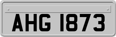 AHG1873
