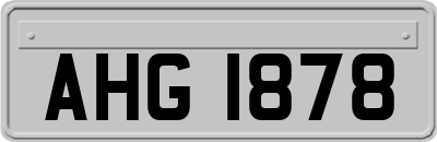 AHG1878