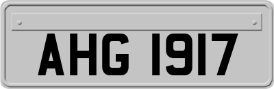 AHG1917