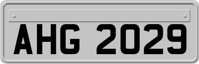 AHG2029