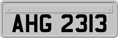 AHG2313