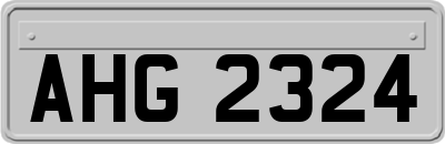 AHG2324