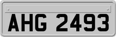 AHG2493