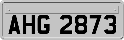 AHG2873