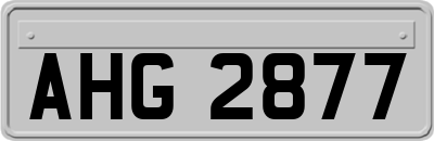 AHG2877