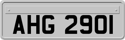AHG2901
